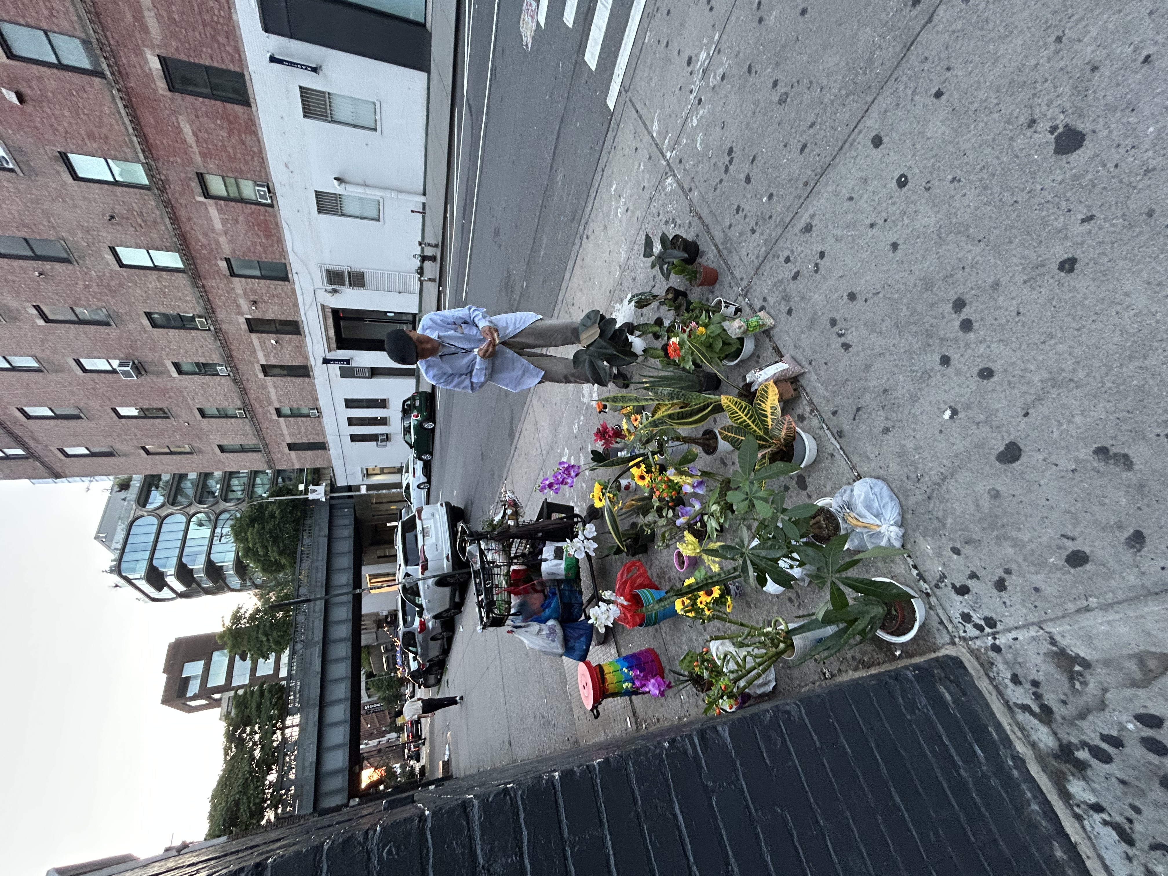 Old man selling plants on a street corner.