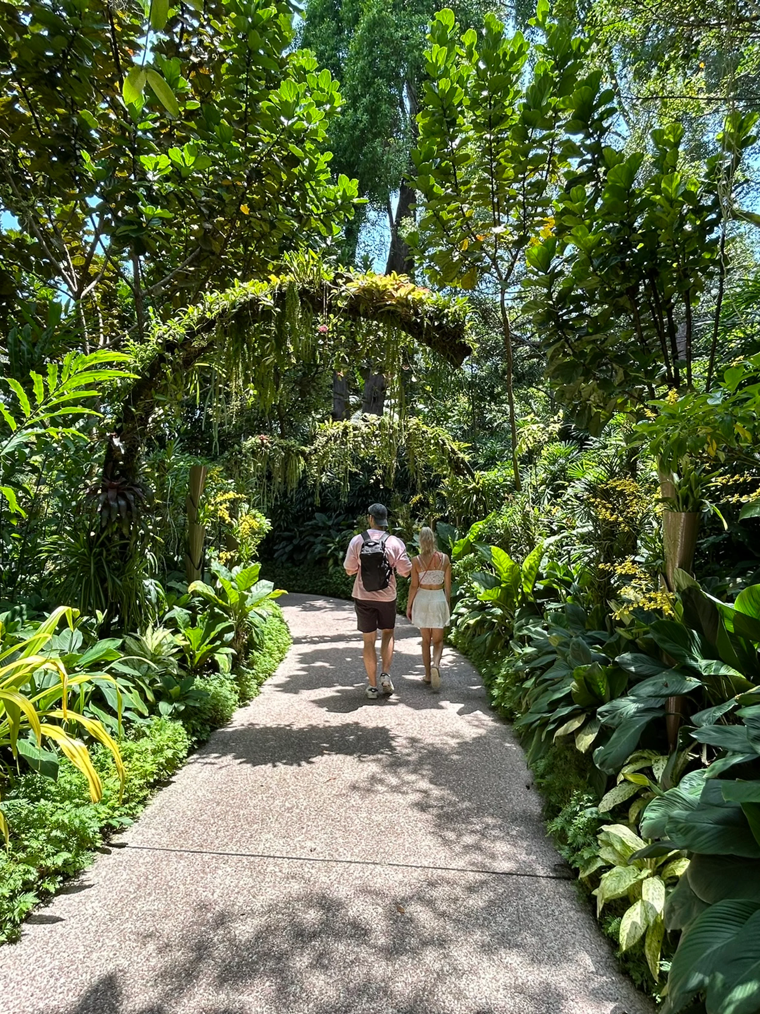 botanical garden