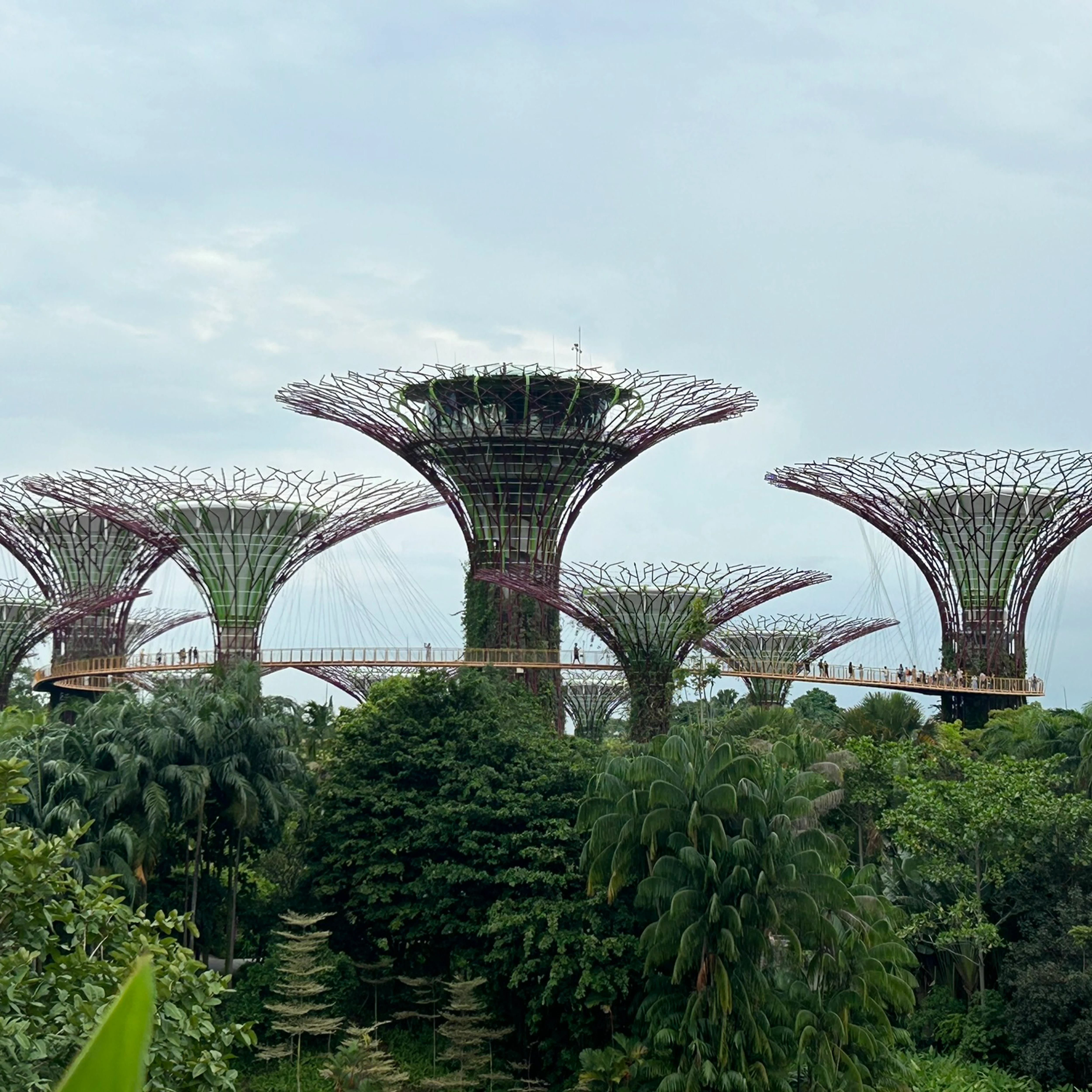 Gardens by the Bay