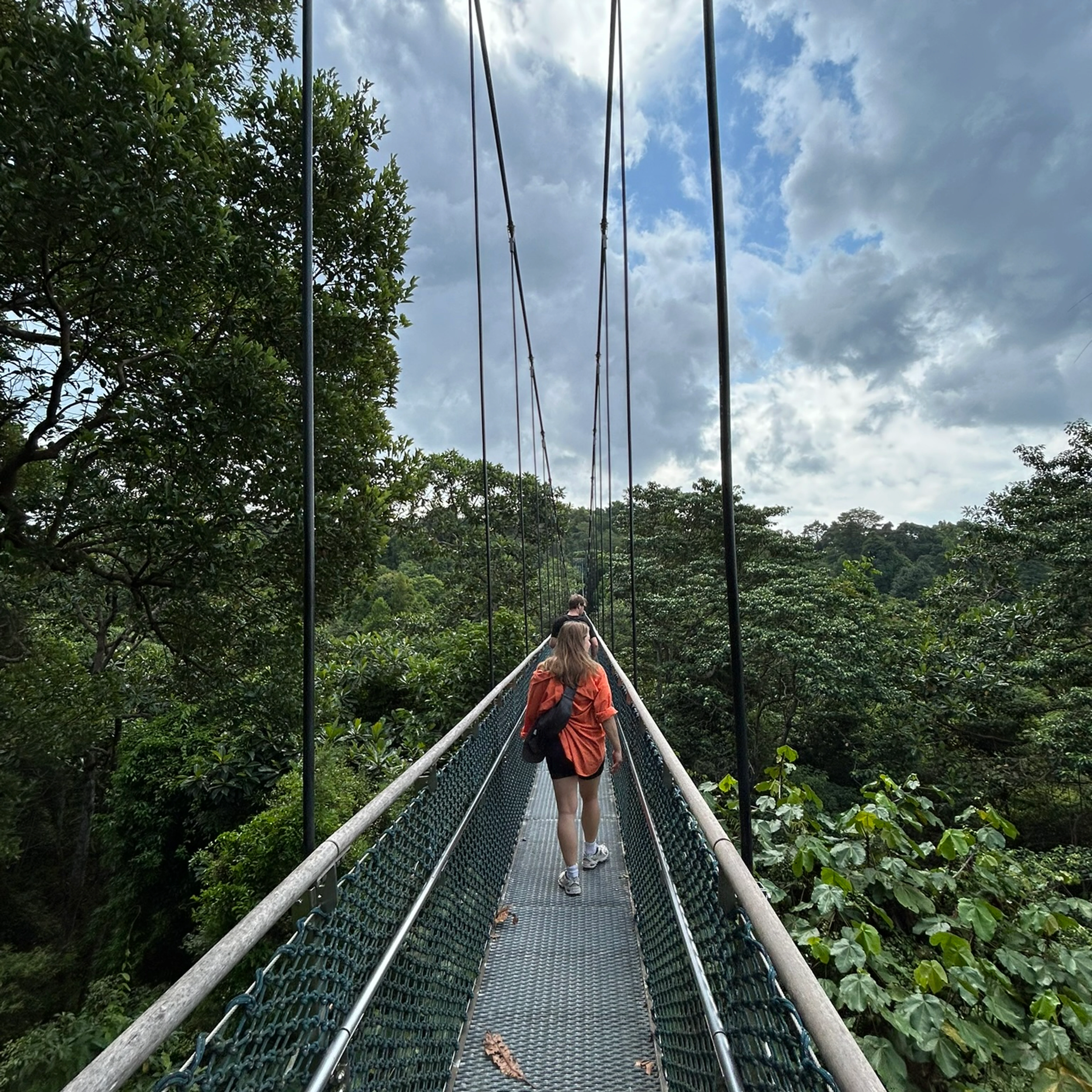 MacRitchie Reservoir w/ Synne