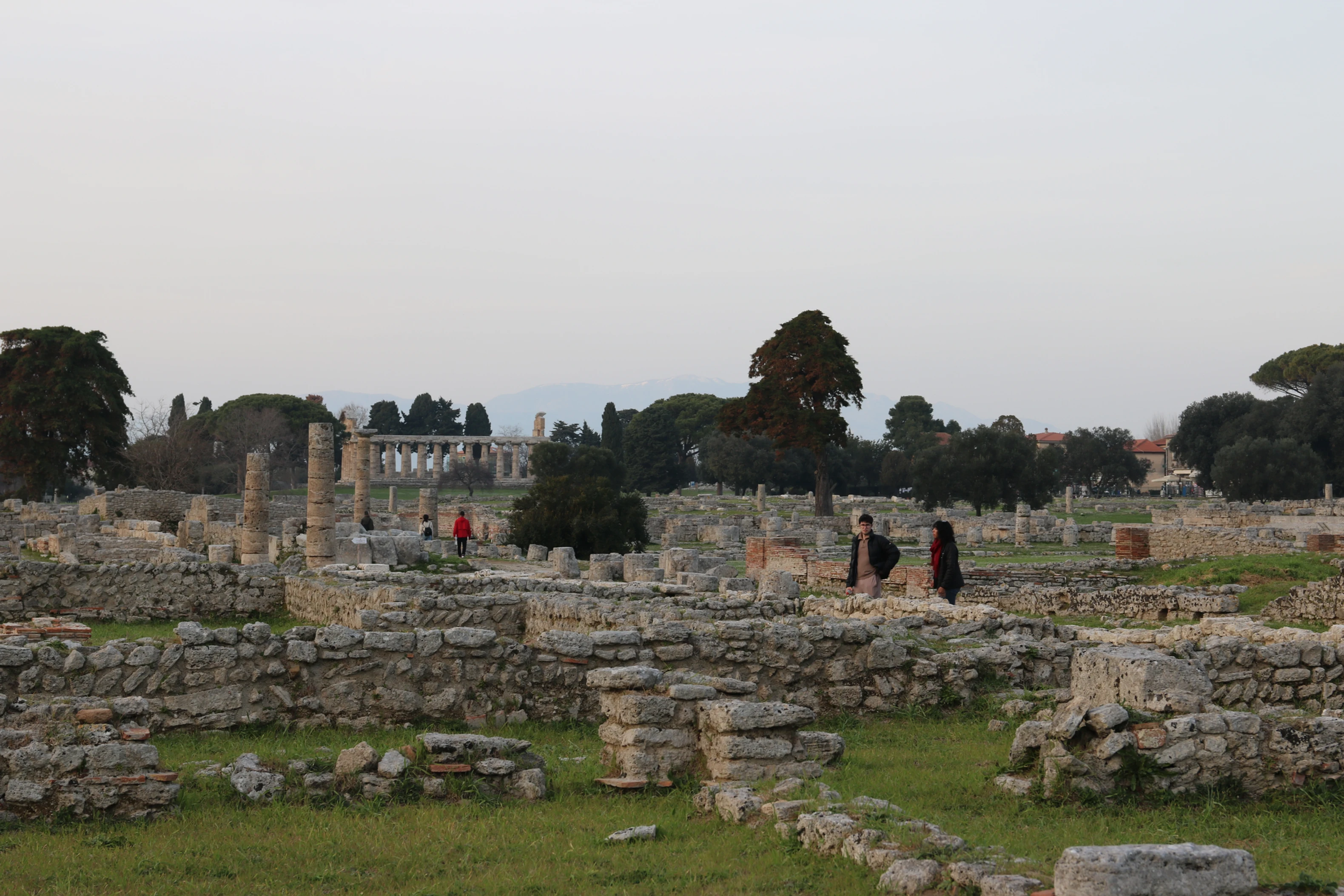 Paestum, with stone structures distributed around the field.