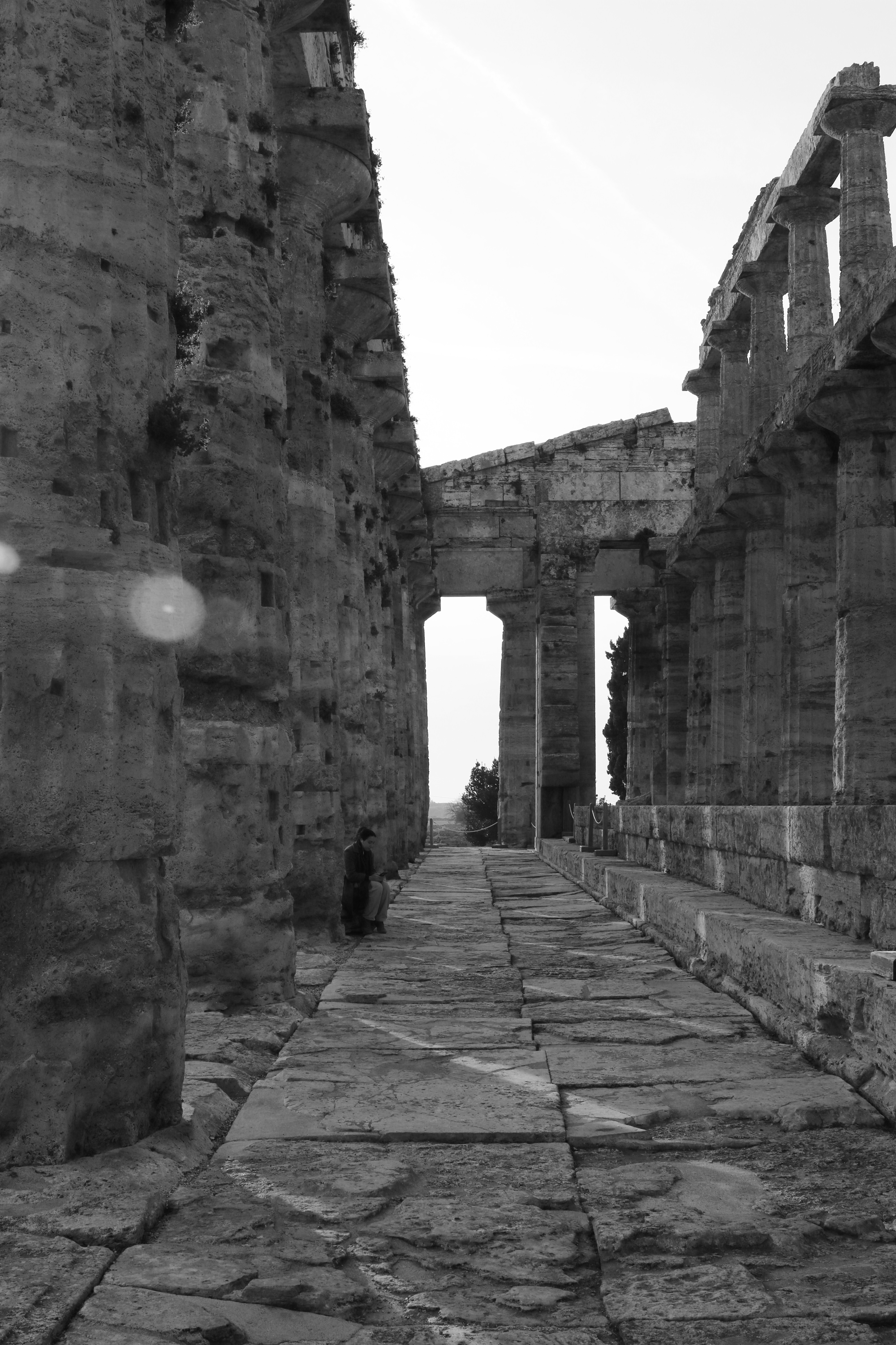 Paestum, inside a Greek temple.