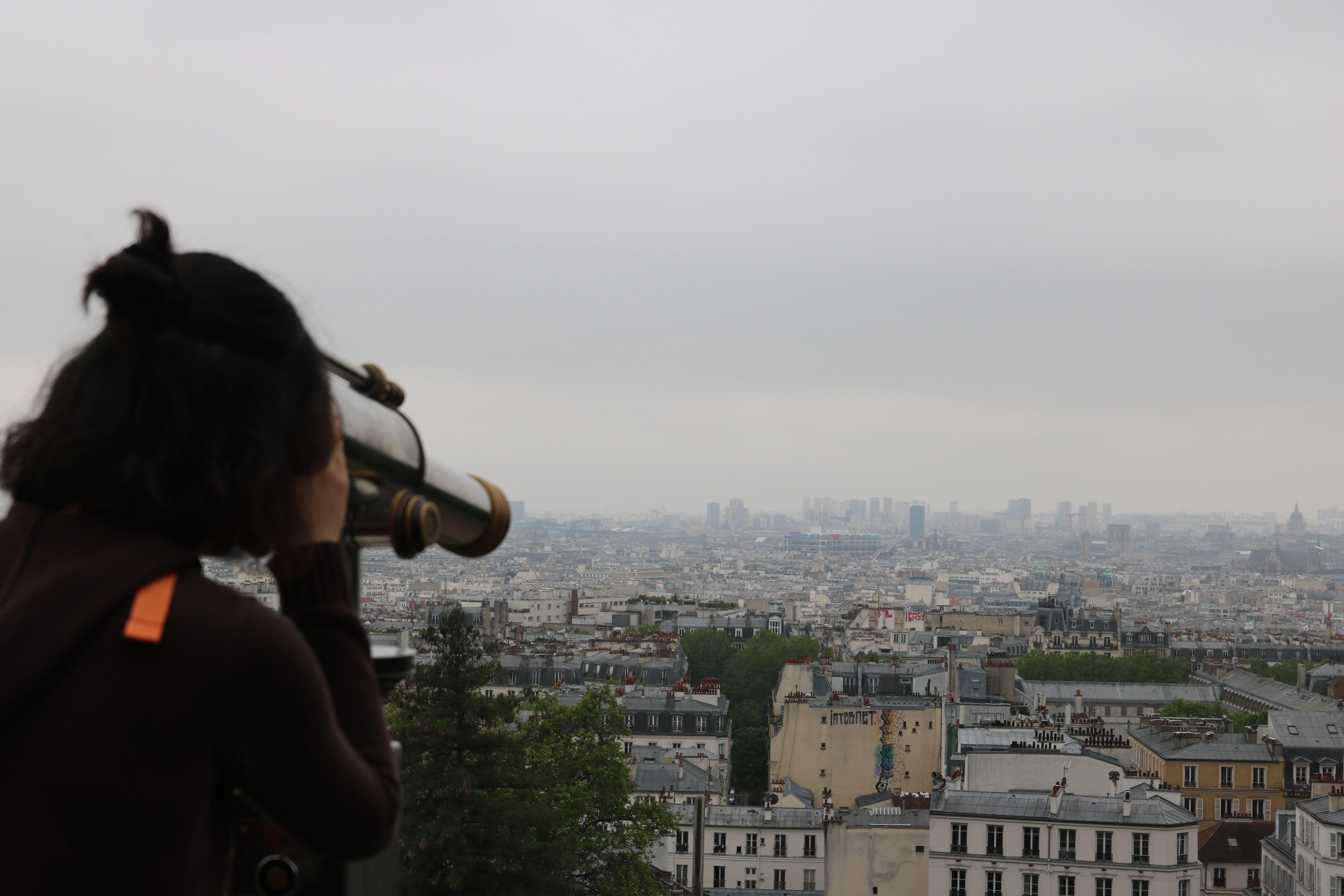 View of Paris from Sacré-Cœur