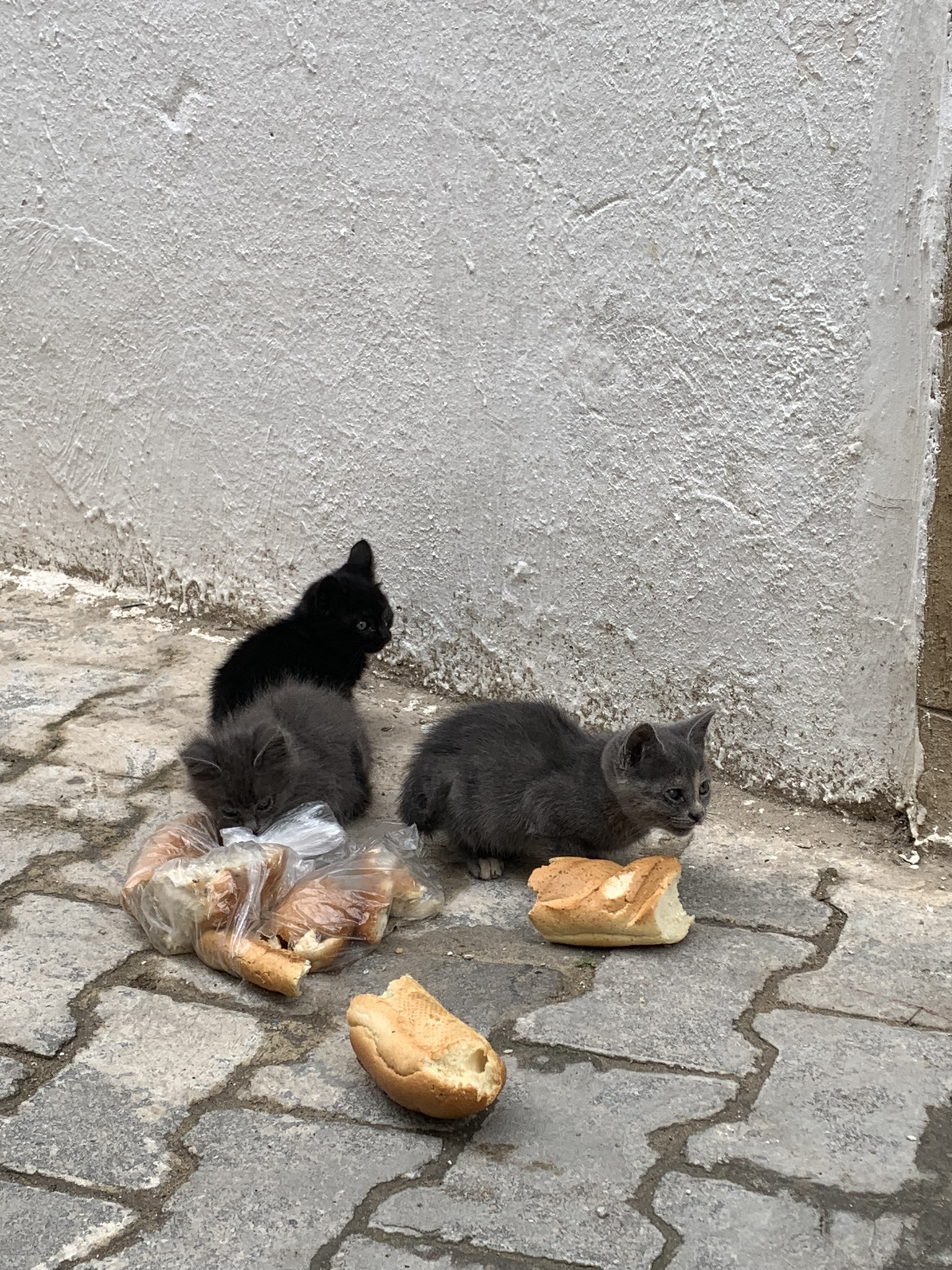 Markets in the medina